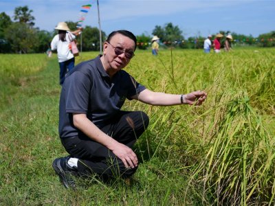 SS Rice News Convention 2025, Pattaya - Thailand